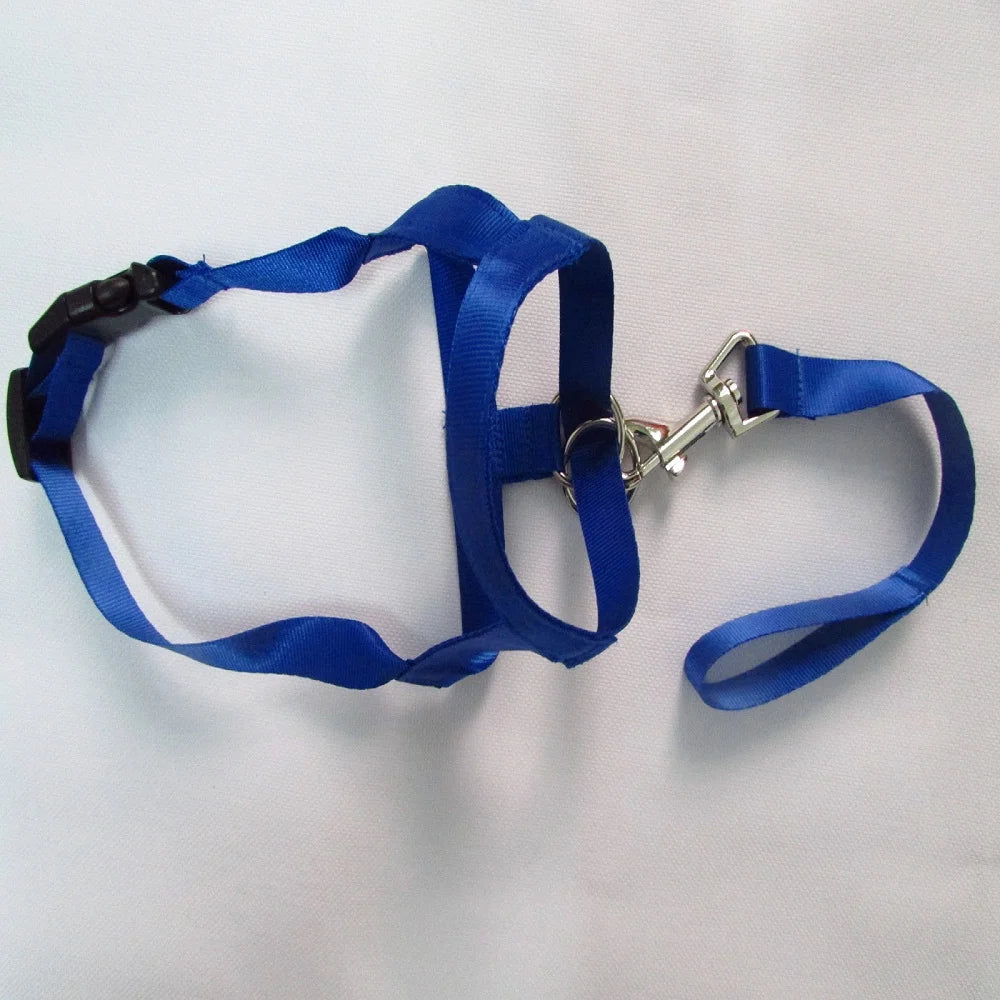 New Nose Ring Around The Mouth Dog Muzzle Adjustable Pet Supplies Prevent Dogs From Eating Randomly Prevent Random Biting