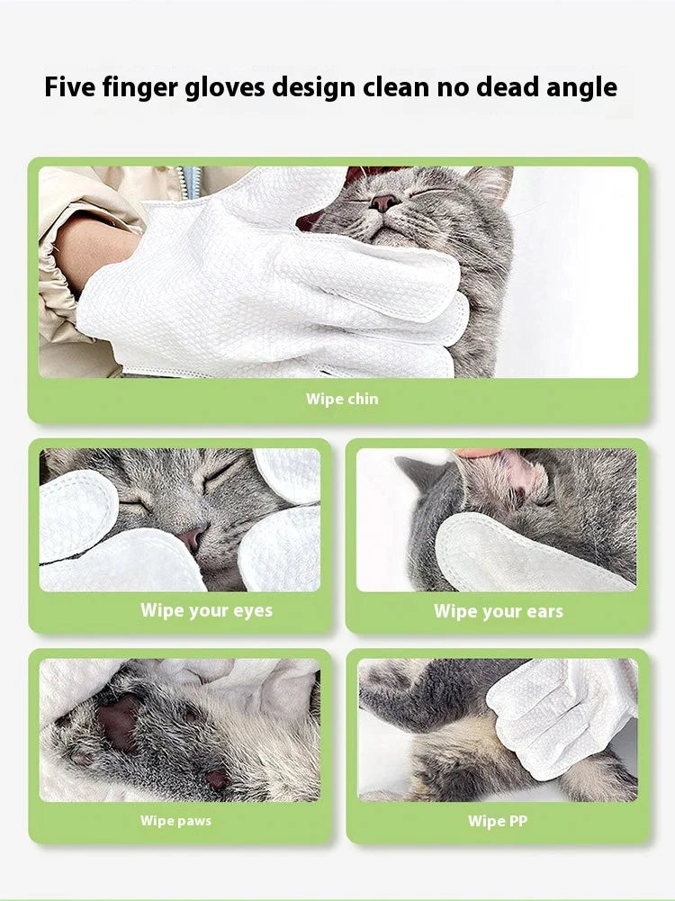 Pet Unwashed Gloves, Dog Bath Deodorizing, Cat Puppy and Kitten Dry Cleaning, Paw Wet Wipes, Cleaning Supplies 6 Pieces