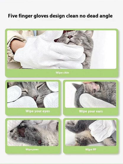 Pet Unwashed Gloves, Dog Bath Deodorizing, Cat Puppy and Kitten Dry Cleaning, Paw Wet Wipes, Cleaning Supplies 6 Pieces