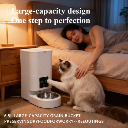 Smart 6L Automatic Pet Feeder with Timer USB & Battery Powered Slow Feed Dispenser for Cats and Dogs No Plug Included