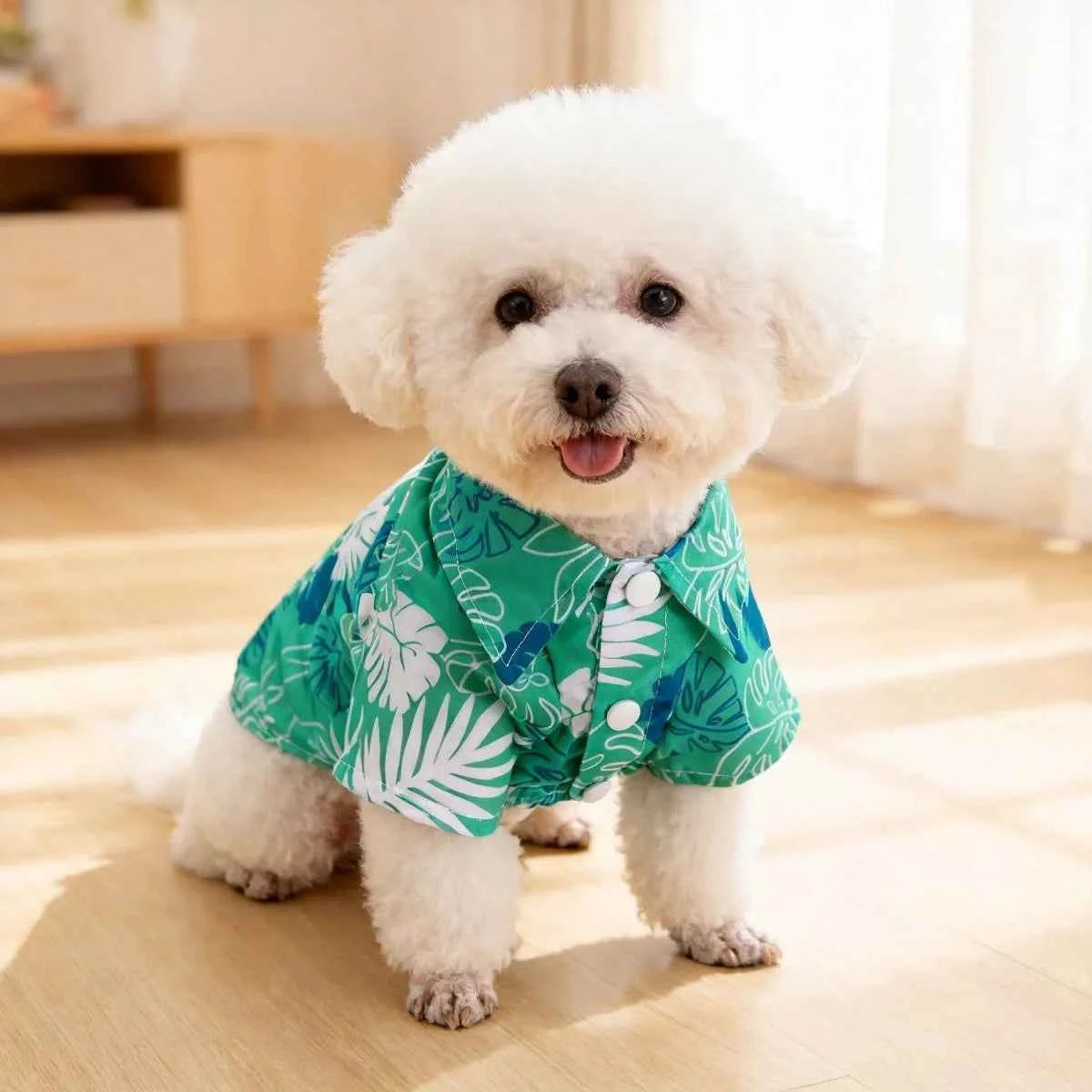 Cat Flower Shirt, Lightweight Spring and Summer Anti-static Wool, Persian Blue Gradient, Dog and Cat Pet Clothing