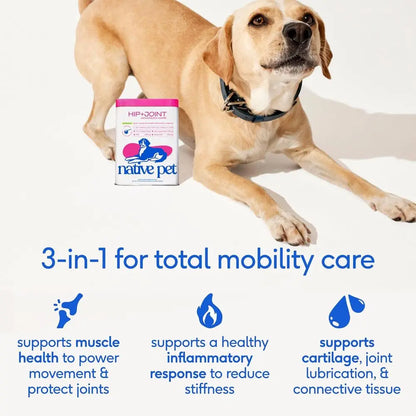 Advanced Care - Hip & Joint Supplement for Dogs - Supports Joints, Cartilage, Muscles & Anti-Inflammatory with HMB, UC-II Collag