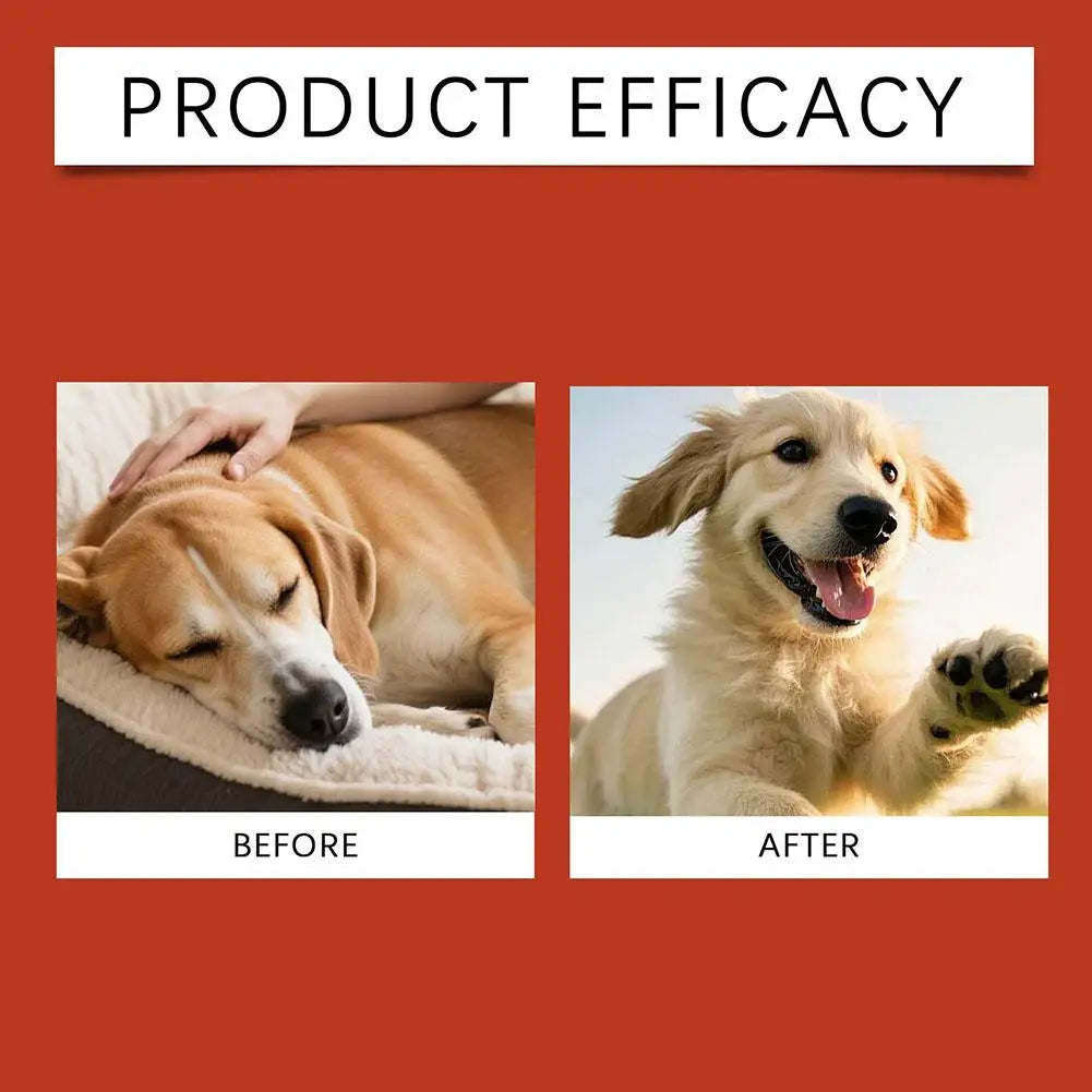 100G 1/2/3PCS Dog Probiotic Soft Granules For Gut Health-Gentle Nourishment Promotes Smooth Digestion Boost Absorption Supports