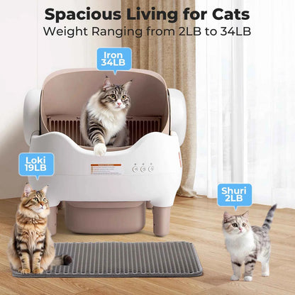 Self Cleaning Litter Box, Automatic Cat Litter Box with APP Control, Odor-Free  Large Waste Bin, Open-Top for Multi Cats