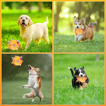 Dog Interactive Sound-Making Ball Toys With Labels, Soft-Filled Puppy Toys, Built-In Bells, Dog Chewing Toys