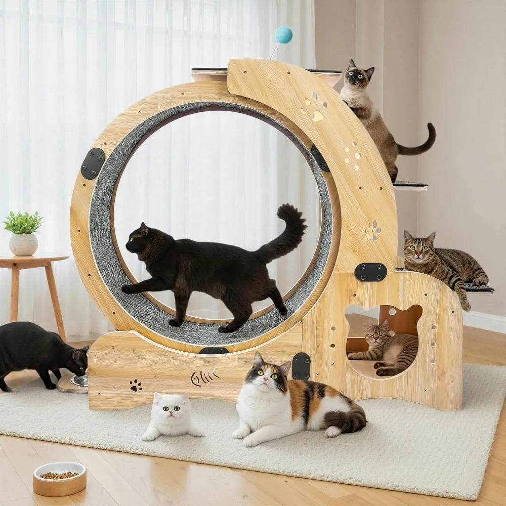 6-in-1 Cat Exerciser Wheel with Pet Bed,Scratching Board, Detachable Mat,Climbing Frame, Nest Toys,51 inch Cat Wheel Indoor