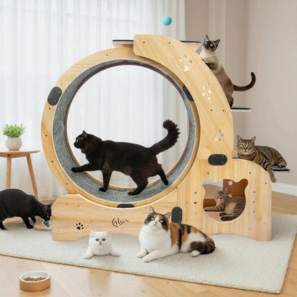 6-in-1 Cat Exerciser Wheel with Pet Bed,Scratching Board, Detachable Mat,Climbing Frame, Nest Toys,51 inch Cat Wheel Indoor