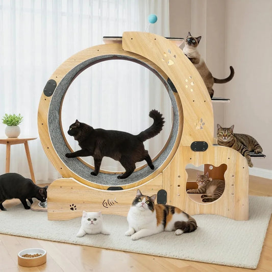 6-in-1 Cat Exerciser Wheel with Pet Bed,Scratching Board, Detachable Mat,Climbing Frame, Nest Toys,51 inch Cat Wheel Indoor