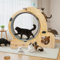6-in-1 Cat Exerciser Wheel with Pet Bed,Scratching Board, Detachable Mat,Climbing Frame, Nest Toys,51 inch Cat Wheel Indoor