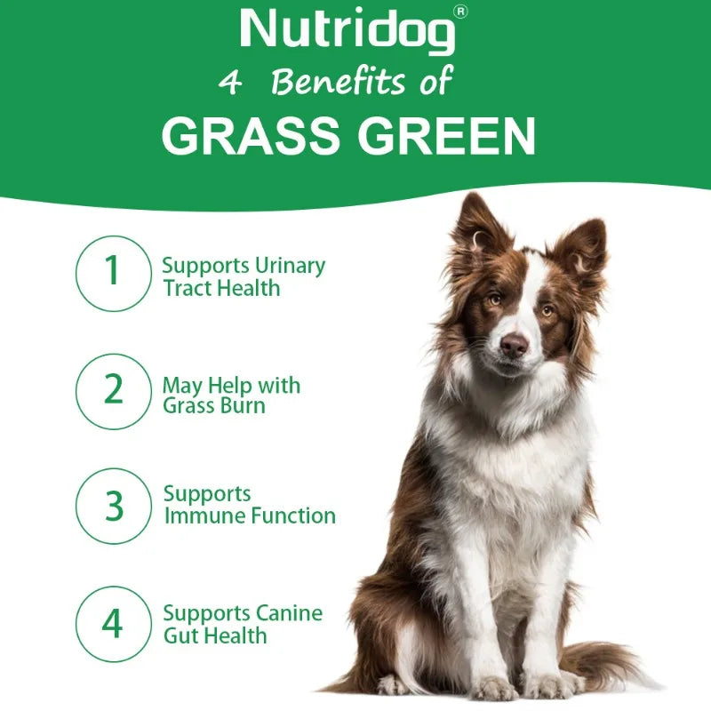 Grass Green Dog Chews - Lawn Urine Neutralizer, Reduces Urine Burns to Grass, Keeps Grass Green, Maintains Intestinal Health
