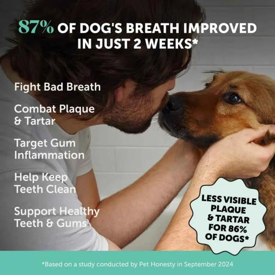 Dog Dental Care Virtual Bundle Mint Dental Powder 60 Servings + Fresh Sticks Oral Hygiene Chews 16 ct