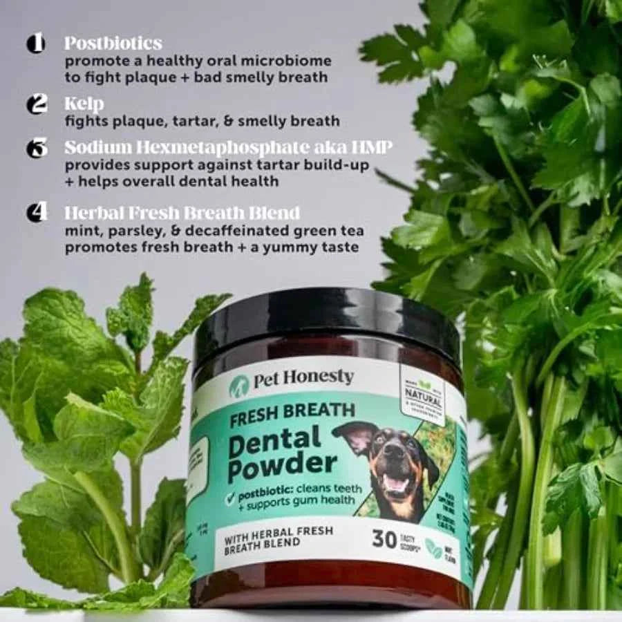 Dog Dental Care Virtual Bundle Mint Dental Powder 60 Servings + Fresh Sticks Oral Hygiene Chews 16 ct