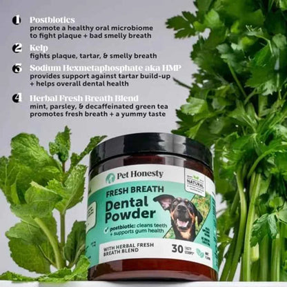 Dog Dental Care Virtual Bundle Mint Dental Powder 60 Servings + Fresh Sticks Oral Hygiene Chews 16 ct