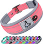 Solid Dog Collars Nylon Dog Collar For Small Medium Large Dogs Teddy Keji Pitbull Bulldog Beagle