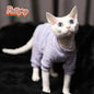 Hairless cat clothes tricolor four-legged clothes Sphinx warm high stretch home four-legged clothes pet clothing