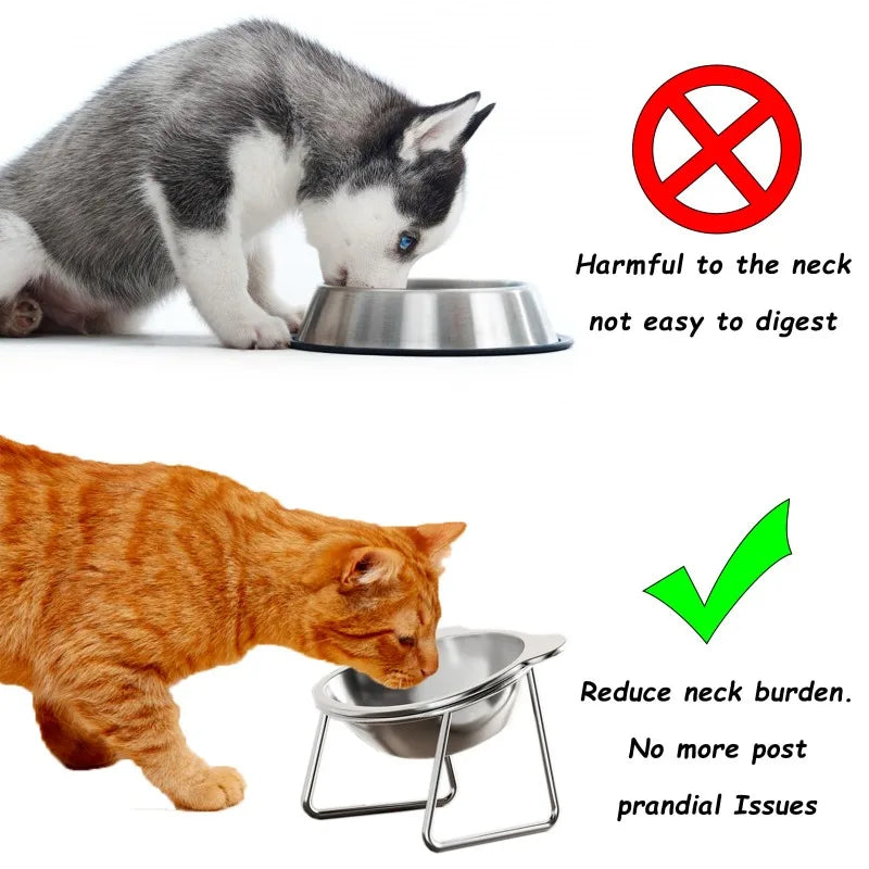 Elevated Cat Bowls for Small Dogs 5.9" Indoor Stainless Steel Raised Cat Bowl for Food Water 15° Titled Anti-Vomiting Dog Dishes