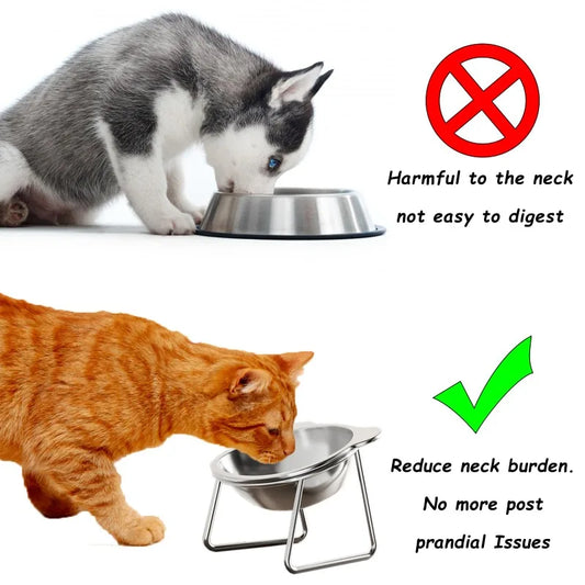 Elevated Cat Bowls for Small Dogs 5.9" Indoor Stainless Steel Raised Cat Bowl for Food Water 15° Titled Anti-Vomiting Dog Dishes