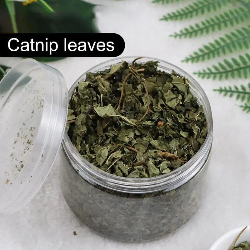 Natural Catnip Organic Premium Catmints Cat Toy Cataria For Eliminating Cats Hairballs Absorbing Foods Vitamin Supplement