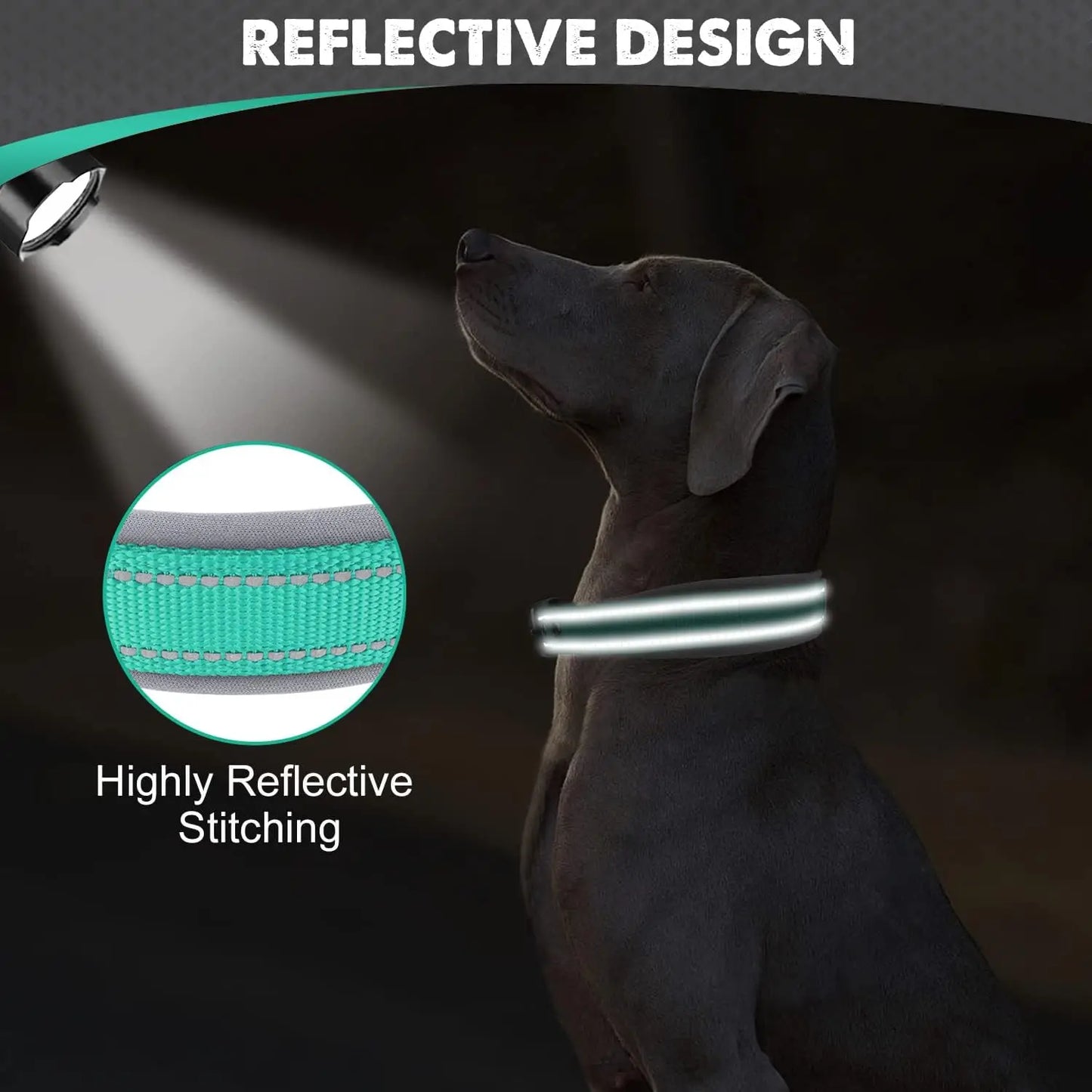 Solid Dog Collars Nylon Dog Collar For Small Medium Large Dogs Teddy Keji Pitbull Bulldog Beagle