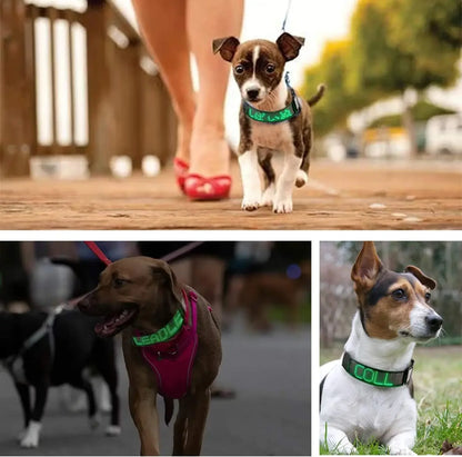 Collar Programmable LED Dog Collar Flashing Light Up Rechargeable Pet Dog Safety Collar Glow in The Dark Light-up Neck Loop