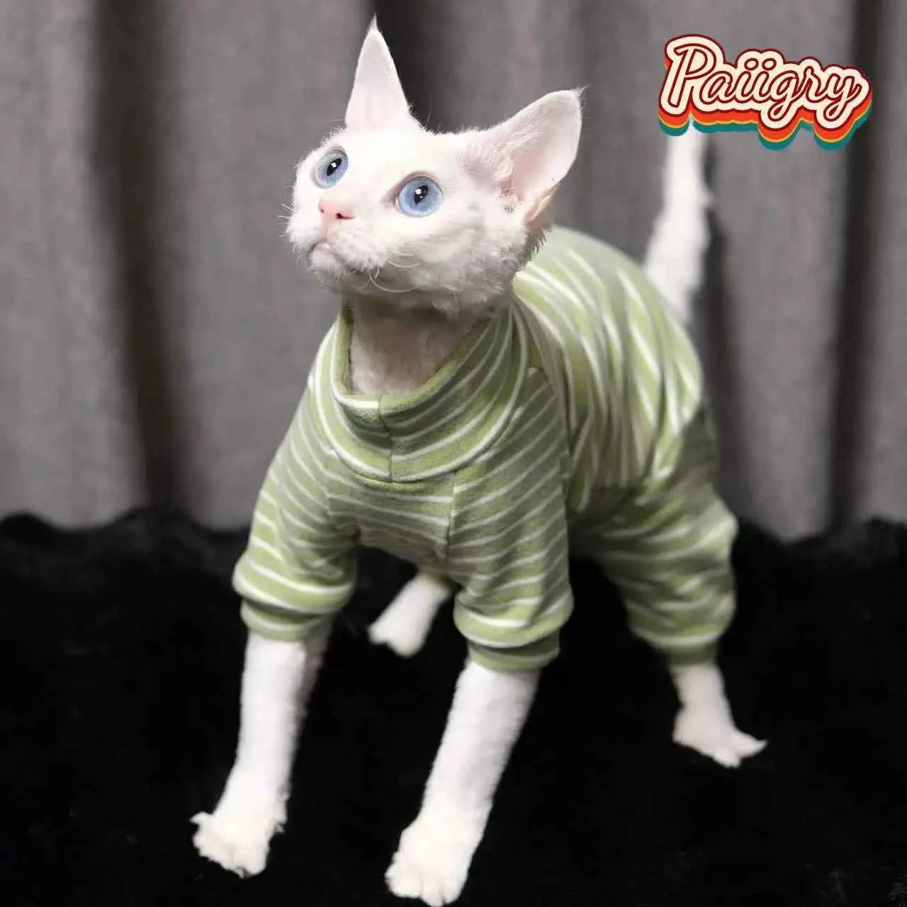 Hairless cat clothes tricolor four-legged clothes Sphinx warm high stretch home four-legged clothes pet clothing