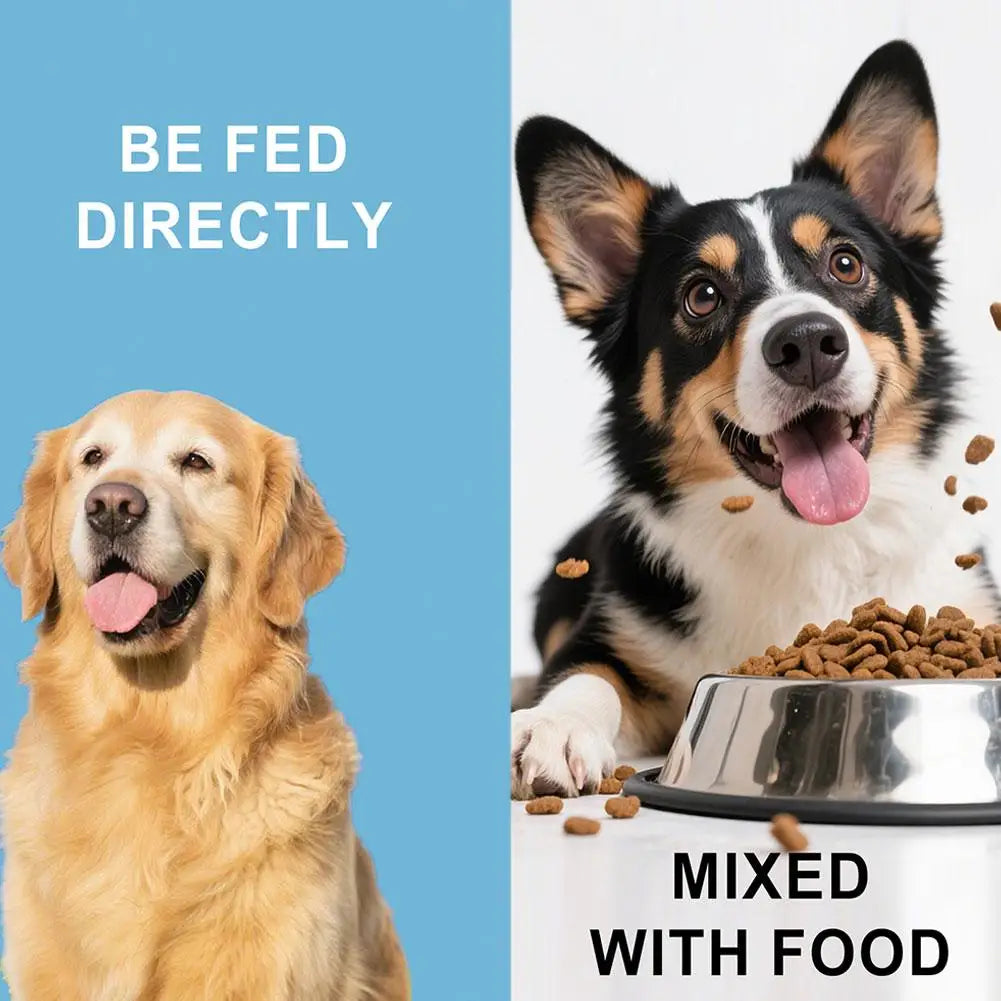 Dog Probiotic Intestinal Powder 100g Delicious Bacon Flavor Gut Flora Balance Digestive Support for Dogs Nutritional Supplement