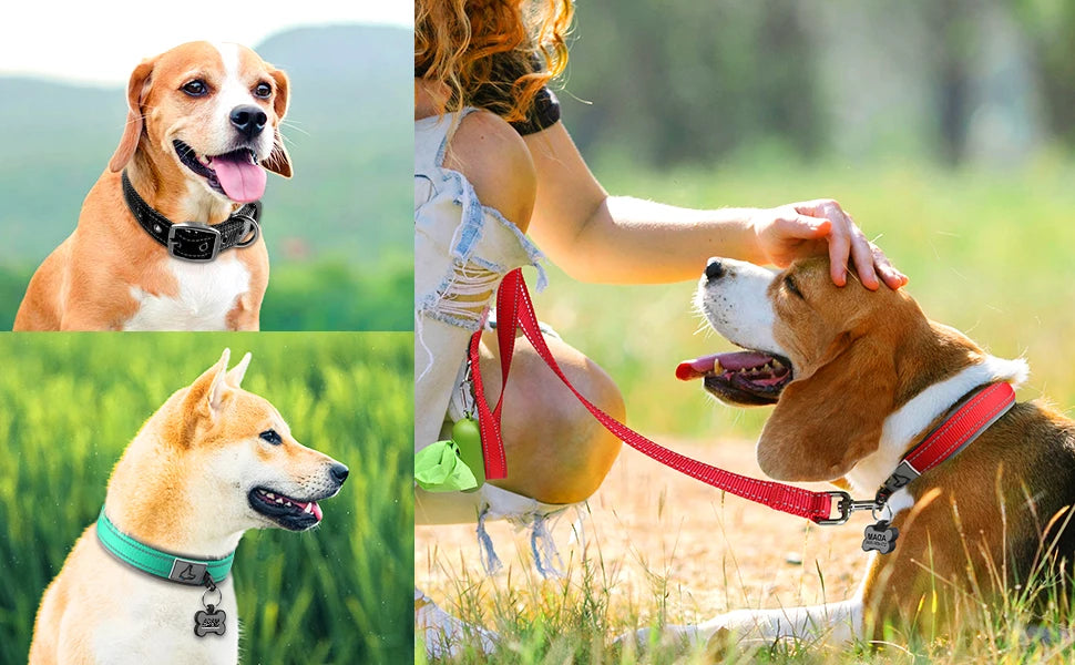 Solid Dog Collars Nylon Dog Collar For Small Medium Large Dogs Teddy Keji Pitbull Bulldog Beagle