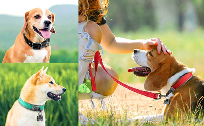 Solid Dog Collars Nylon Dog Collar For Small Medium Large Dogs Teddy Keji Pitbull Bulldog Beagle