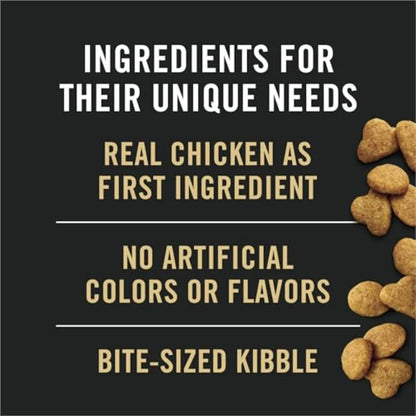Adult Indoor Chicken and Rice Formula High Protein Cat Food - 16 lb. Bag