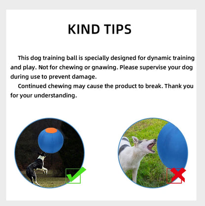 Outdoor Dog Toy Inflatable Big Ball Interactive Games Balls Pet Golden Relieve Fretful Boredom Country Dog Corgi Training Ball