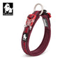 TrueLove TLC50121 Reflective Neoprene Dog Collar with Matching Leash, Adjustable Nylon Collar for All Dog Sizes