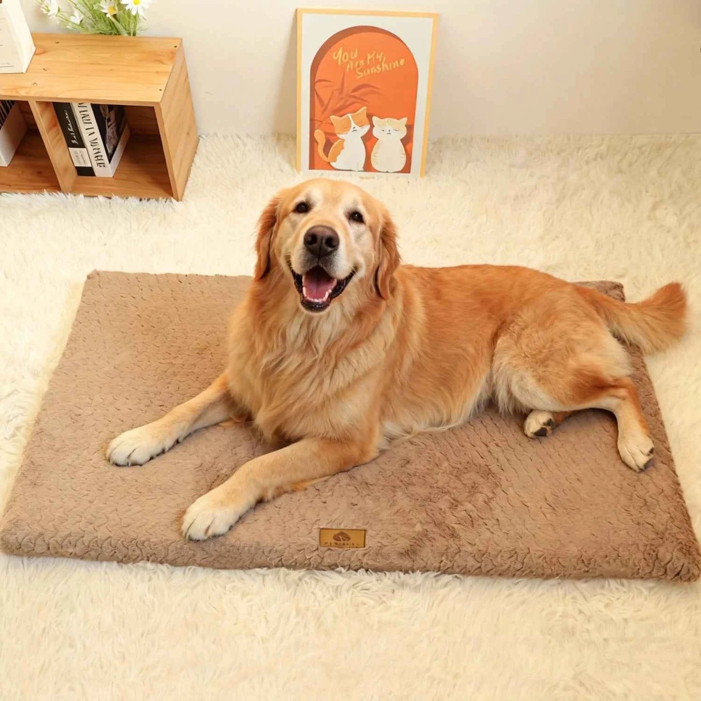 Removable Pet Bed for Medium Dog Non-slip Cat Sleeping Mat Winter Warm Small Dog Cushion Full Cat Bed Cushion Accessories
