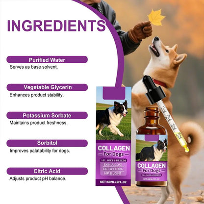 Dog Collagen Absorbable Drops Pet Cleaning & Nutritional Care - Skin Hair Intestinal Joint Health Support Daily Pet Supplement