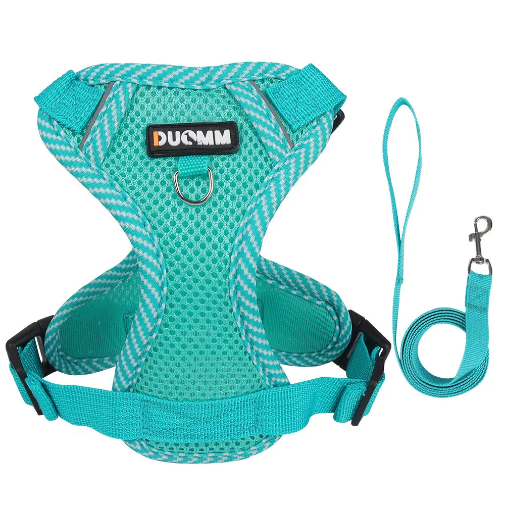 Escape Proof Cat Harness with Leash, Reflective Adjustable Mesh Vest for Cats and Kittens, Safe Outdoor Walking Training Harness