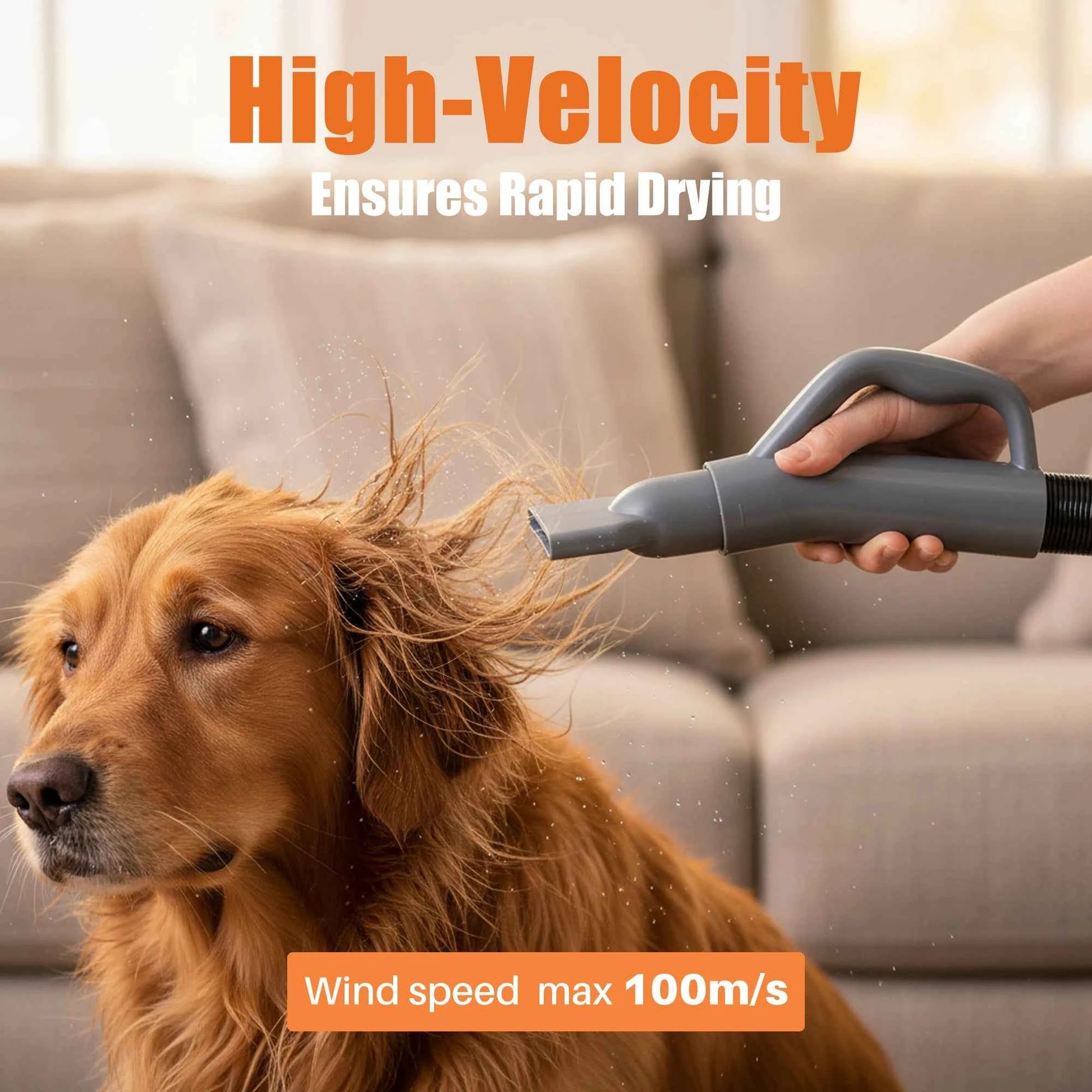 JHK 5-piece Pet Blow Dryer Grooming Vacuum Kit  4 Nozzles 6.5 FT Cord for Low Noise Dog Hair Dryer with Adjustable Cool-Warm-Hot