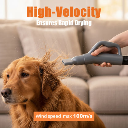 Dog being dried with a high-velocity hair dryer, with text indicating high velocity and rapid drying.
