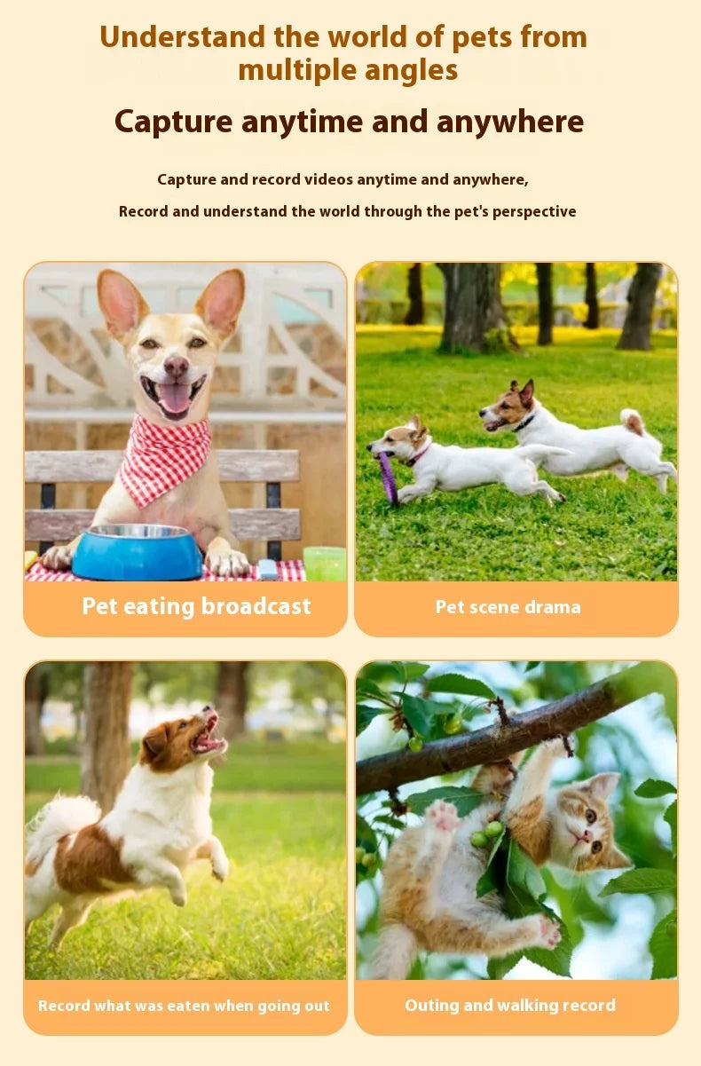 Waterproof Mini Body Camera for Dogs Cats, Outdoor Adventures Pet Camera Cam Smart Collar HD 1080P WiFi App with Video Recording