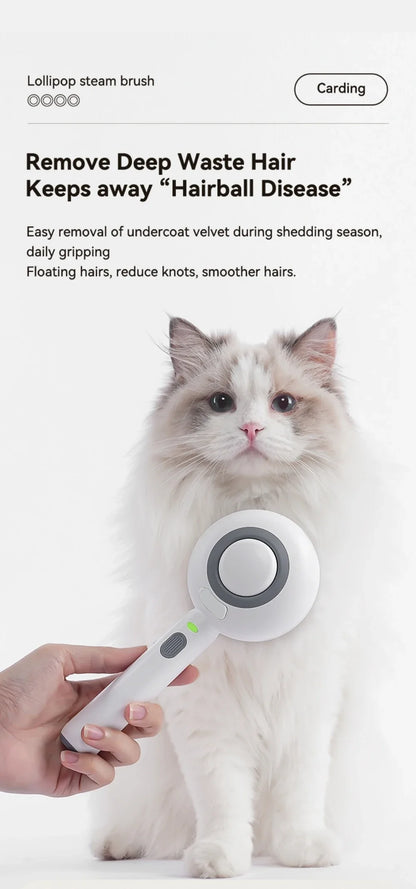 Pet spray Comb Cat Cleaning Massage Comber Brush Removing Float Needle Comb Anti Flying Hair Spray Cat Dog Comb Beauty Products