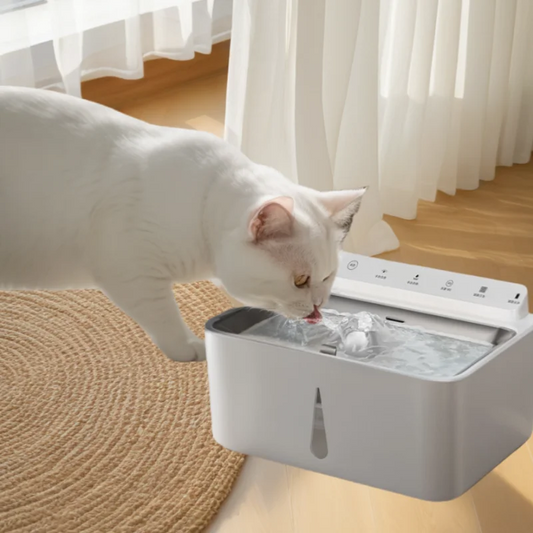A 5-liter Capacity Wireless Sensor Can Multi-cycle Live Water Filter Pet Automatic Water Dispenser Silent Smart Pet Water Feeder - Pet Suppie