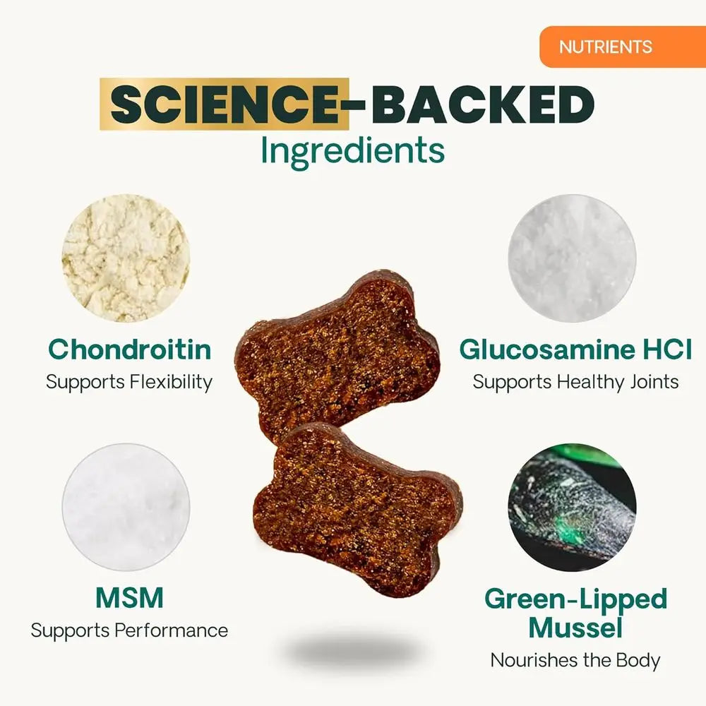 GlycoFlex Ultimate Strength Healthy Hip & Joint Glucosamine Supplements for Dogs, with MSM, Chondroitin & Green-Lipped Mussel, S