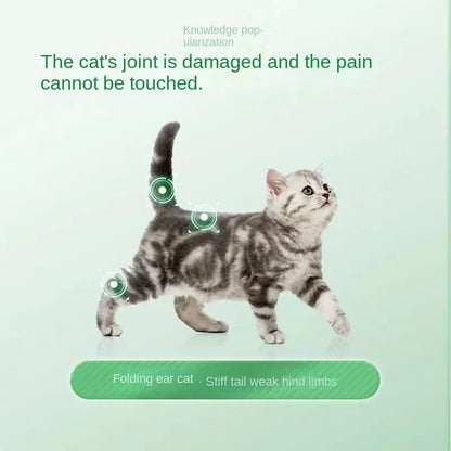 Pet nutritional supplement 30ml Chondroitin dog cat fold developing joint treasure universal nutrient solution