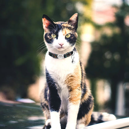 Quick Release Nylon Cat Collar Personalized Puppy Pet Kitten Safety Breakaway Necklace Customizable Adjustable For Cats Puppy
