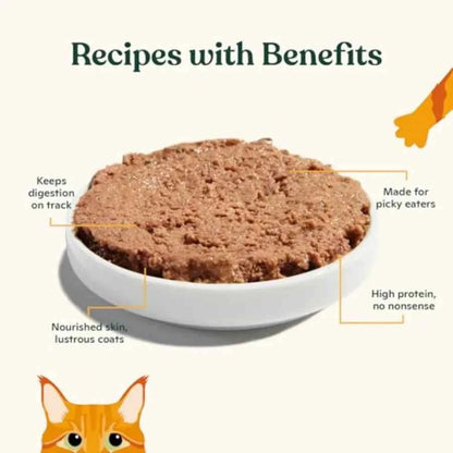 Premium Wet Cat Food Grain-Free Pate Cans Chicken and Herring - 24 Pack 5.5 Ounce
