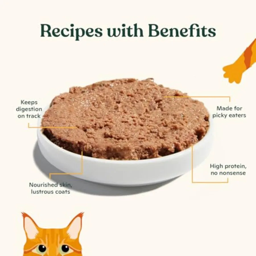 Premium Wet Cat Food Grain-Free Pate Cans Chicken and Herring - 24 Pack 5.5 Ounce