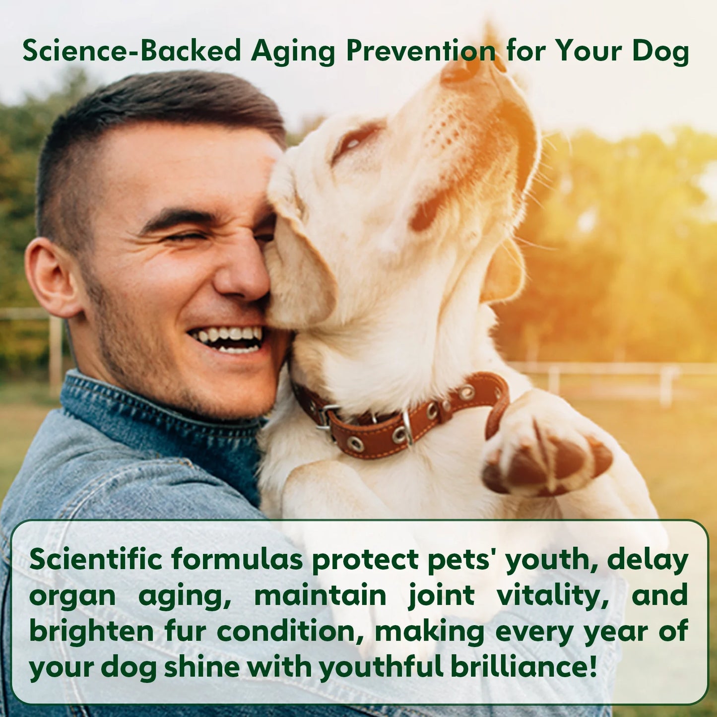 NUTRIDOG Senior Dog Vitamins Chews NAD Joint Mobility Cellular Energy Coat Brilliance Support for 3-In-1 Dogs Soft Chews