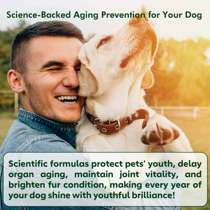 NUTRIDOG Senior Dog Vitamins Chews NAD Joint Mobility Cellular Energy Coat Brilliance Support for 3-In-1 Dogs Soft Chews