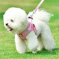 1 Set Pet Harness Leash, Suitable For All Seasons, Fits Small And Medium Dogs, Vest-Style Comfortable Dog Leash, Outdoor Walking