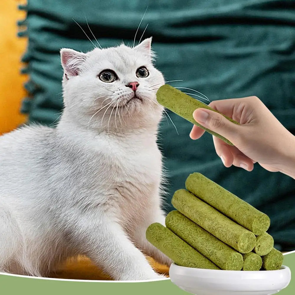 Cat Grass Sticks Grass Chewing Stick Freeze Dried Snacks Mouth Health Teething Digestive Aid Natural Teeth Cleaner Fattening Pet