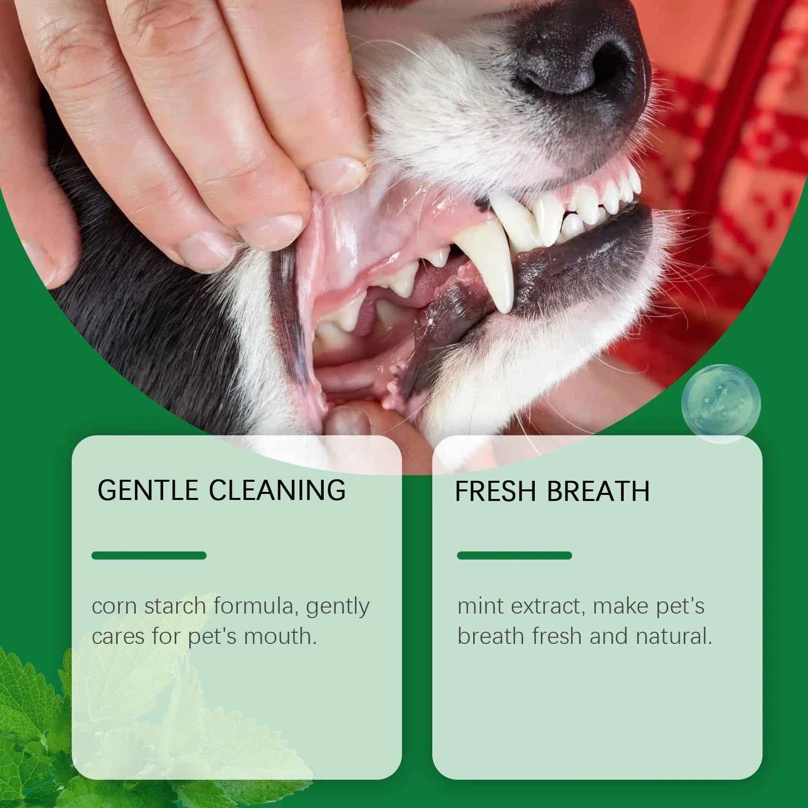 Pet Teeth Cleaning Powder Reduce Dental Plaque Calculus Eliminates Oral Odors Whiten Teeth Fresh Breath Pet Cleaning Products
