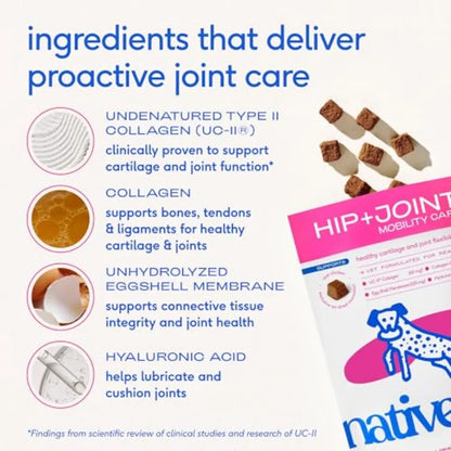 Hip and Joint Supplement for Dogs - UC-II Collagen Egg Shell Membrane and Hyaluronic Acid - Dog Joint Supplement Chews Supports